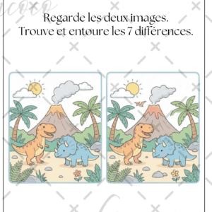 fiche à l'unité (copie)