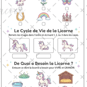 fiche à l'unité (copie)