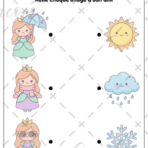 fiche à l'unité (copie)