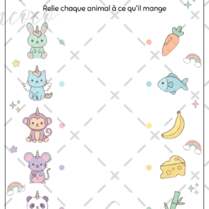 fiche à l'unité (copie)