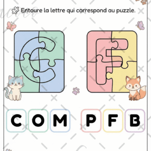 fiche à l'unité (copie)