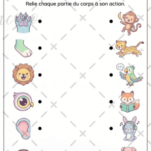 fiche à l'unité (copie)