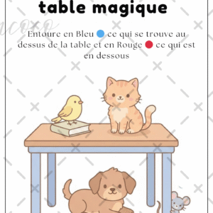 fiche à l'unité (copie)