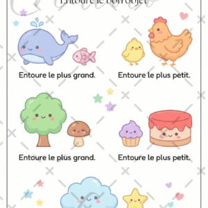 fiche à l'unité (copie)