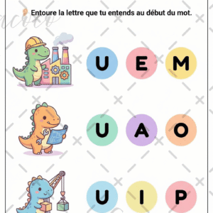 fiche à l'unité (copie)