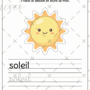 fiche à l'unité (copie)