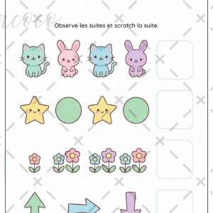 fiche à l'unité (copie)