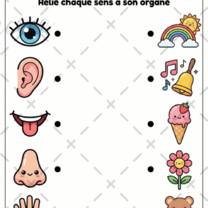 fiche à l'unité (copie)