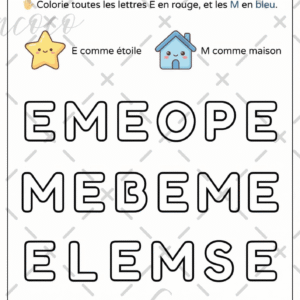 fiche à l'unité (copie)