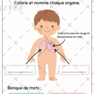 fiche à l'unité (copie)